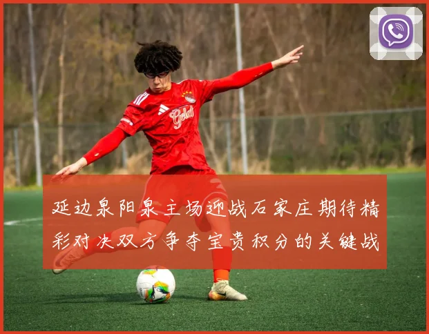 延边泉阳泉主场迎战石家庄期待精彩对决双方争夺宝贵积分的关键战役