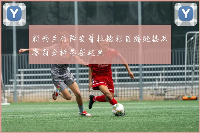 新西兰对阵安哥拉精彩直播链接及赛前分析尽在这里