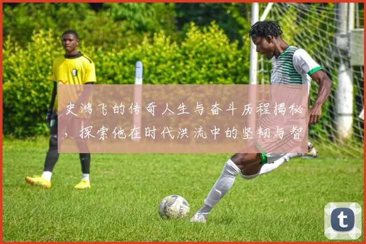 史鸿飞的传奇人生与奋斗历程揭秘，探索他在时代洪流中的坚韧与智慧