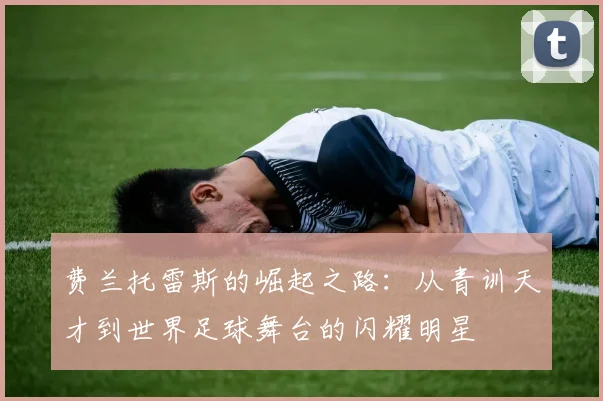 费兰托雷斯的崛起之路：从青训天才到世界足球舞台的闪耀明星