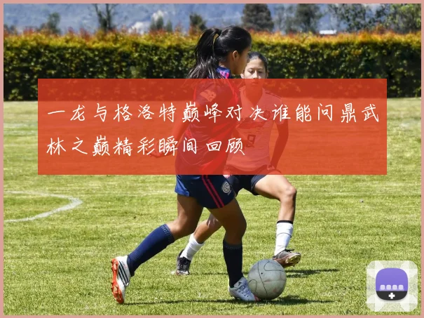 一龙与格洛特巅峰对决谁能问鼎武林之巅精彩瞬间回顾