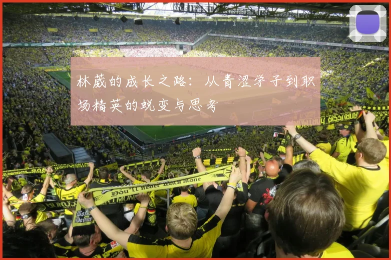 林葳的成长之路：从青涩学子到职场精英的蜕变与思考